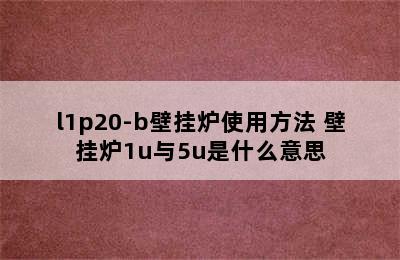 l1p20-b壁挂炉使用方法 壁挂炉1u与5u是什么意思